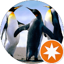 ravi Ravi profile picture